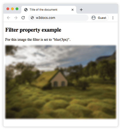 Un'immagine con il filtro CSS blur(3px) applicato