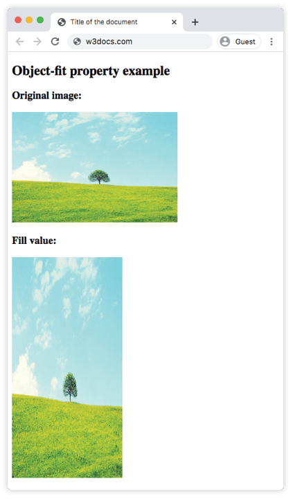 Il valore fill di CSS object-fit che allunga un'immagine